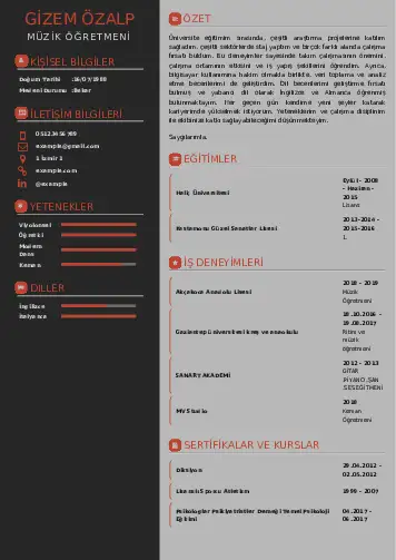 Müzik Öğretmeni Cv Örnekleri cv indir